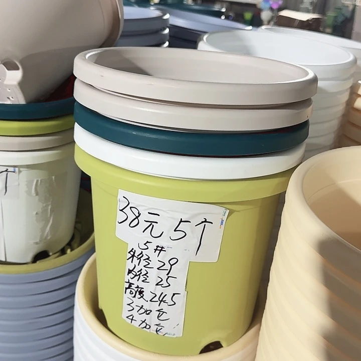 四季5#口径29果绿10个无托