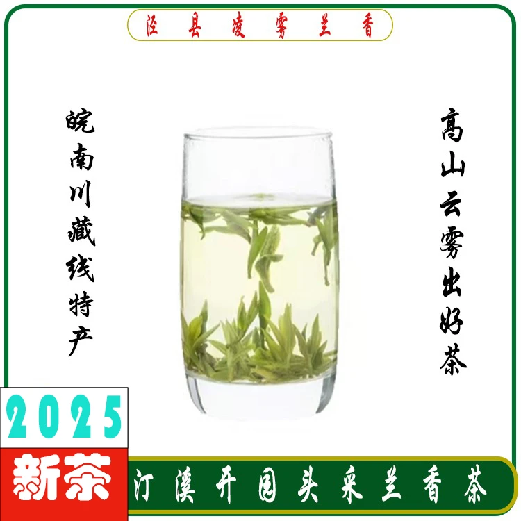 泾县汀溪兰香2025新茶春茶喝茶明前兰花香正宗原产地开园特级绿茶