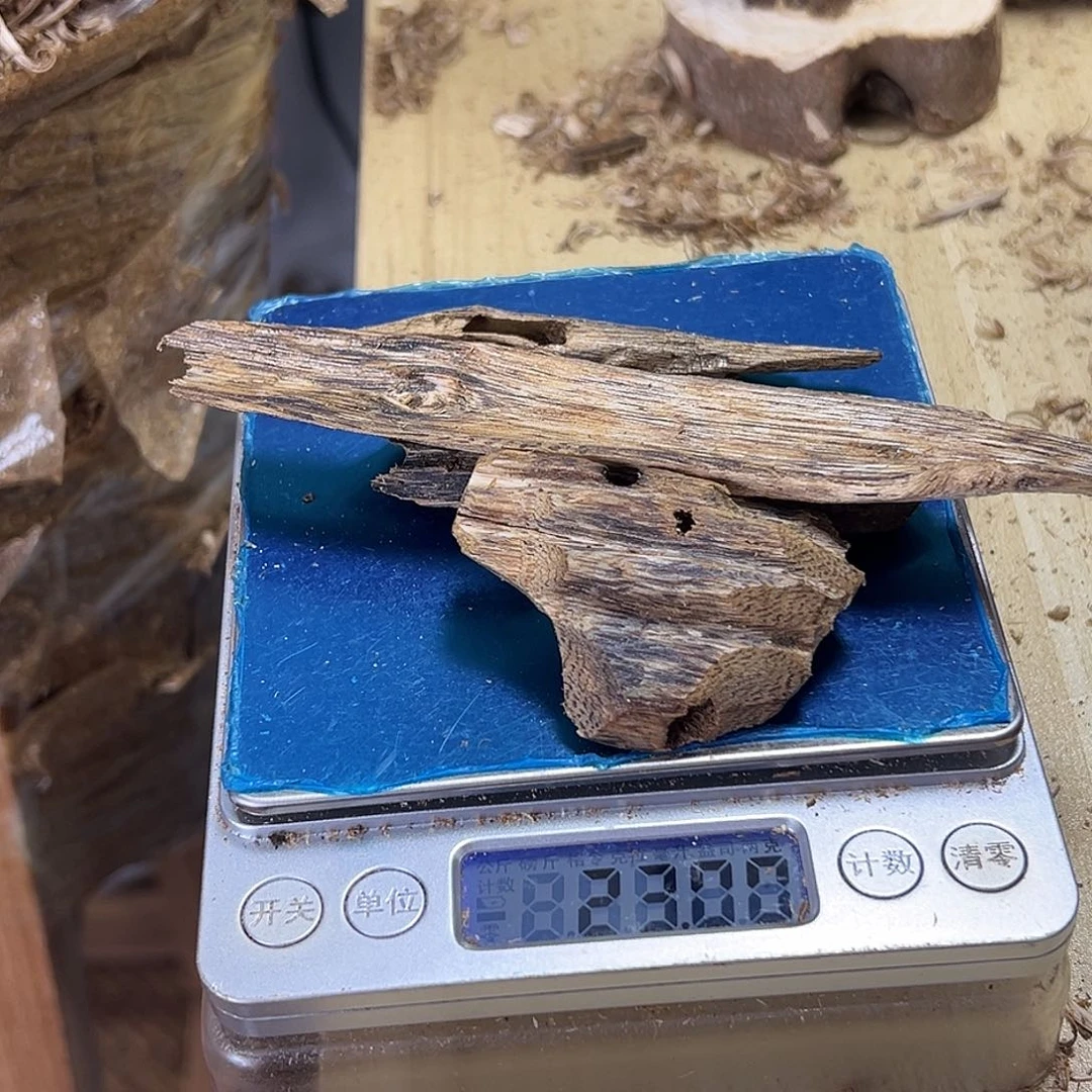 香料绿棋楠乌身虫漏22克