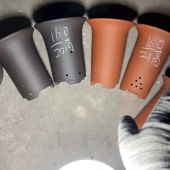 紫砂花盆周深周深周深周深周深