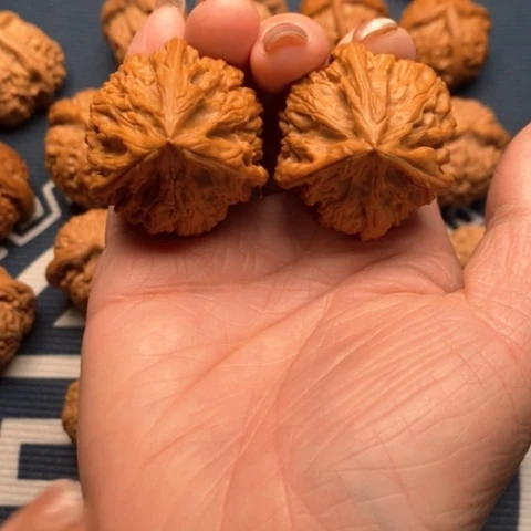 橄榄核手串/手链子*文山37