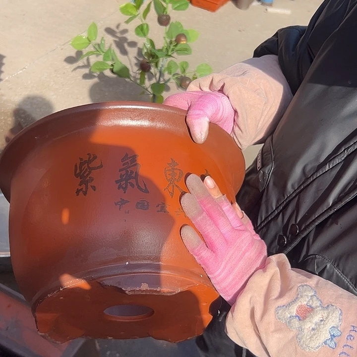 30紫气东来花盆花盆花盆