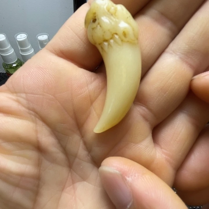 大果紫檀（缅甸花梨）福利多多