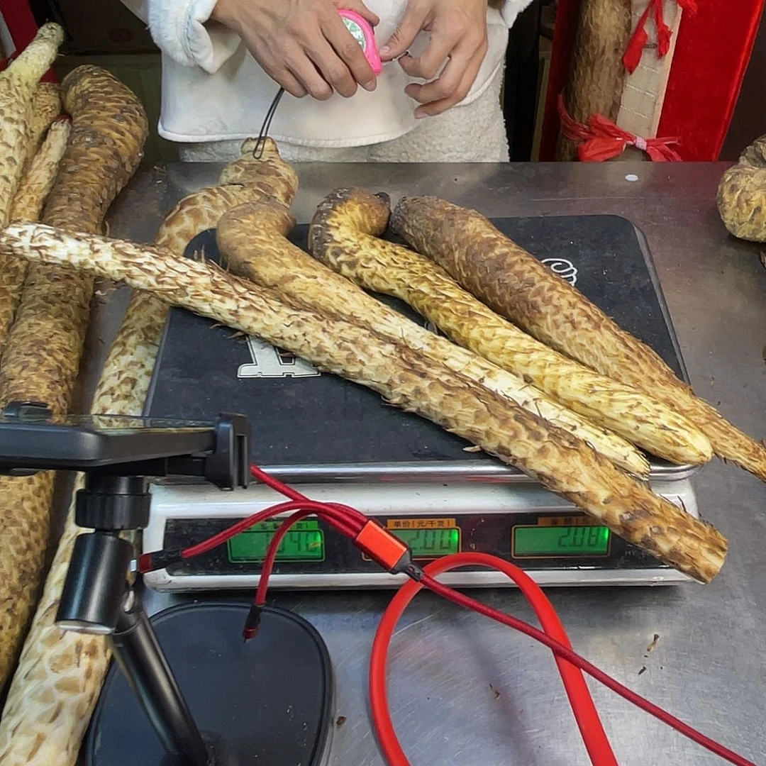 中国大陆1040克4根