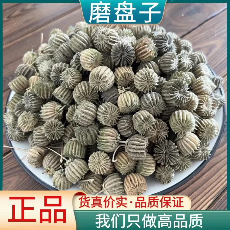 野生磨盘子果精选磨盘子茼麻子新鲜干货自然晒干无硫散装叶菜包邮
