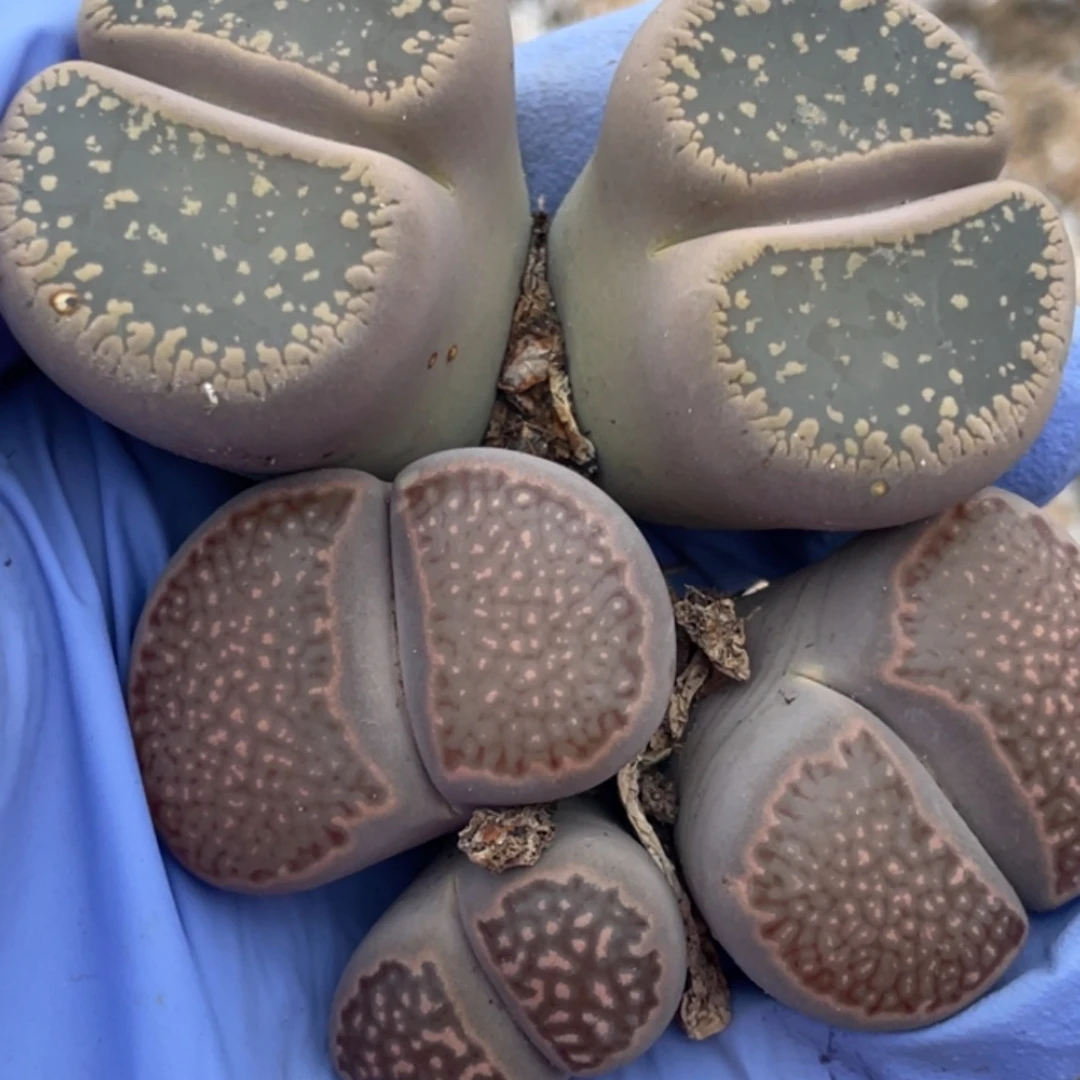 h***z你也不会知道为什么我们2720