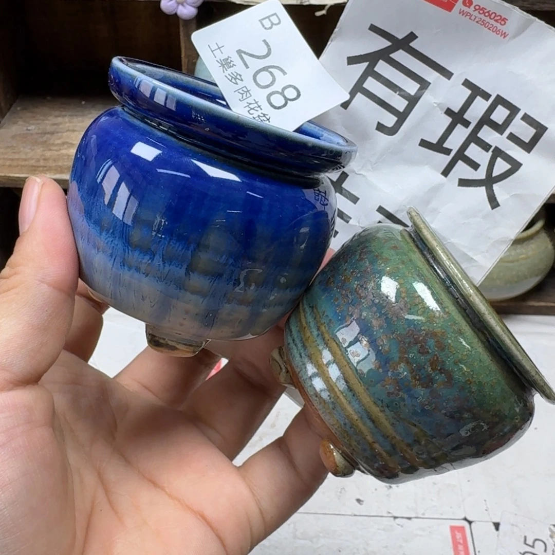 青***栀陶瓷艺术设计学与制作