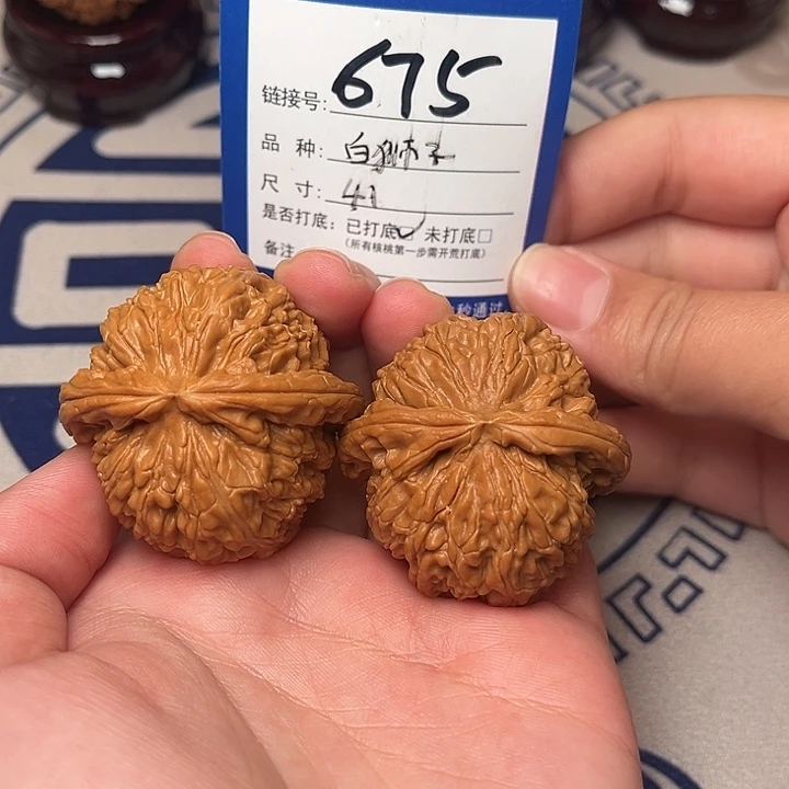 把件文玩核桃白狮子