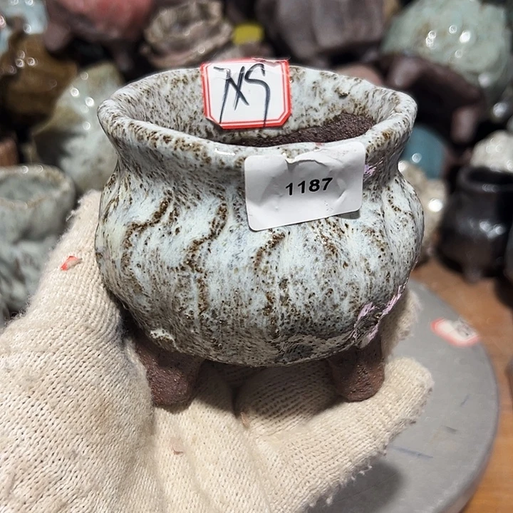 粗陶花盆制作就这样的
