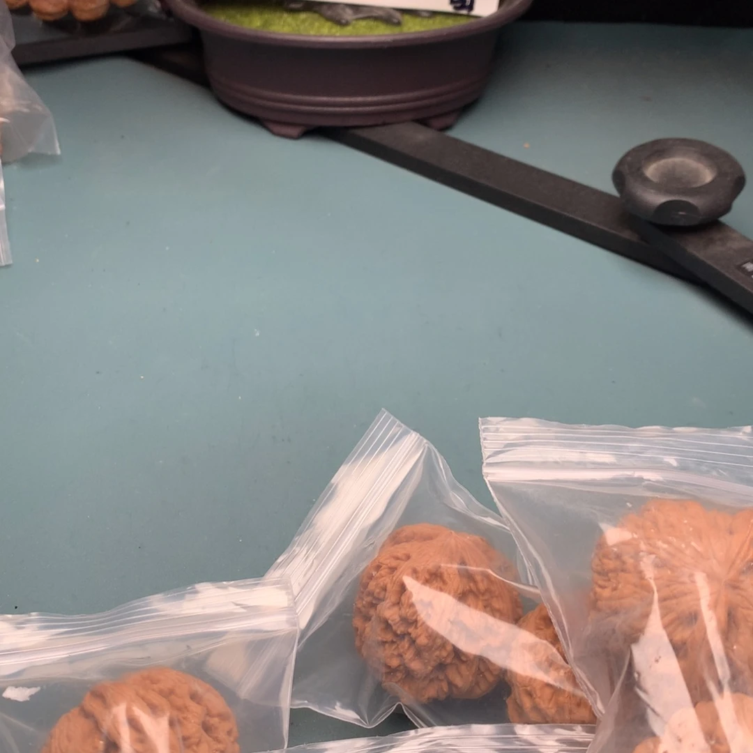 文玩核桃把件全品粗筋4647