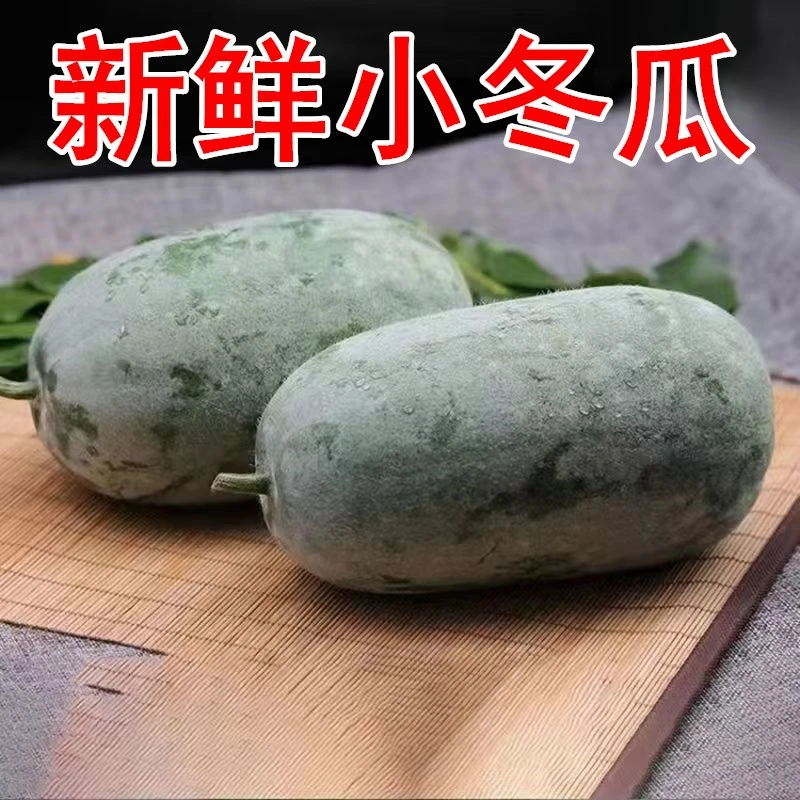 【杨哥哥专属】河南小冬瓜迷你小冬瓜毛冬瓜农家自种新鲜蔬菜