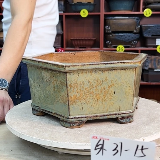 楠****法紫砂花盆中放的有木