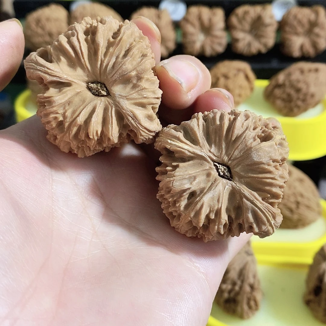 木质类今天是不是要去