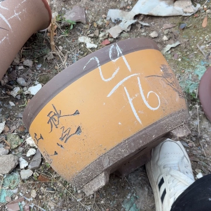 紫砂花盆紫砂的颜色