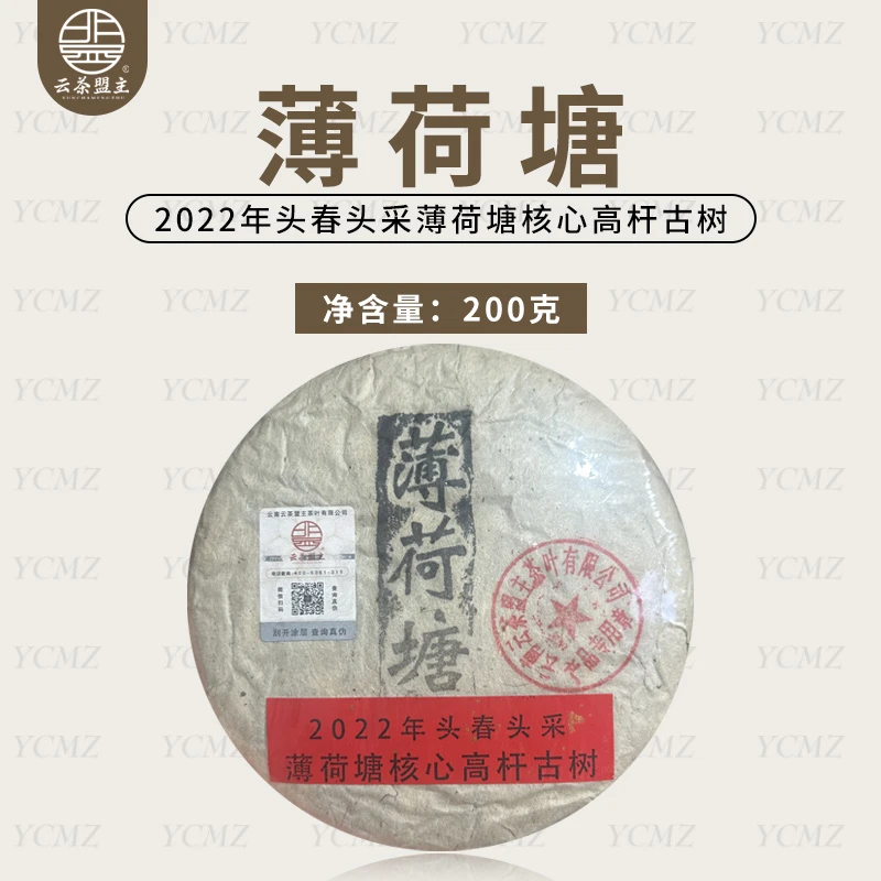 云茶盟主2022年薄荷塘一类高杆古树！200g/片