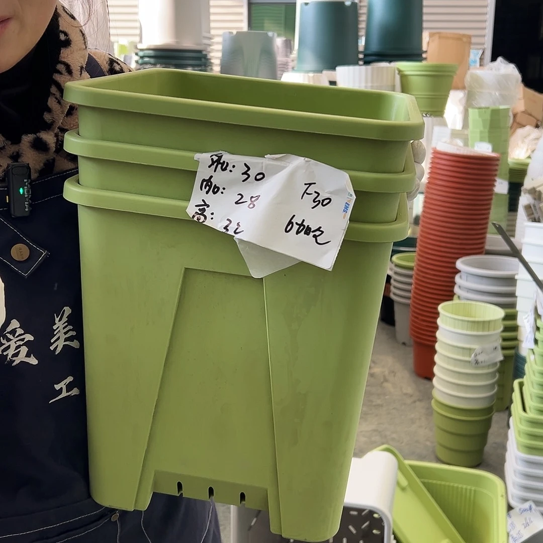 方盆F30果绿3个无托