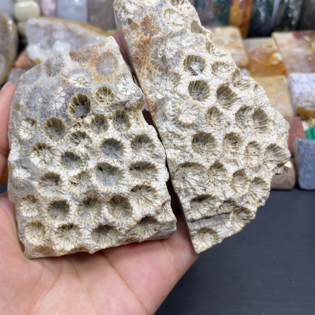 荒***园硅化玉未镶嵌颈饰k1
