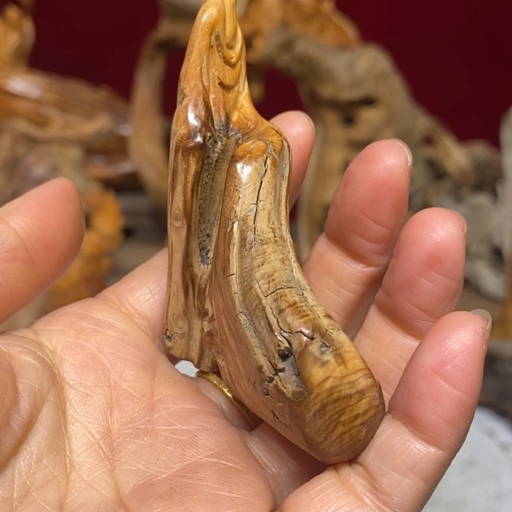 柏木（崖柏）88888888