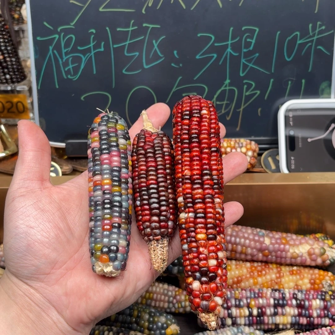 柏香籽/百香籽吊坠万*。