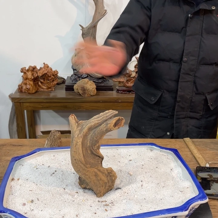 用****7我们都是好孩子呀