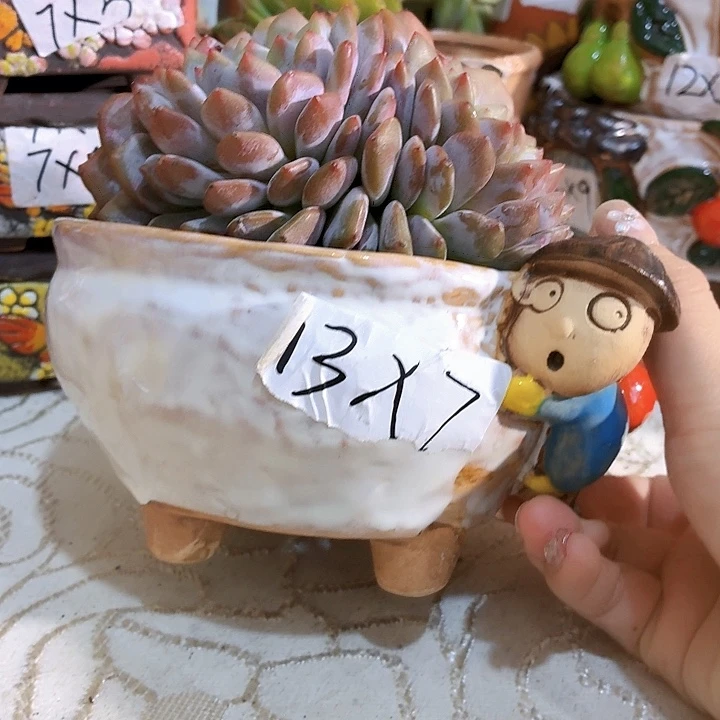 多肉花盆满15包邮