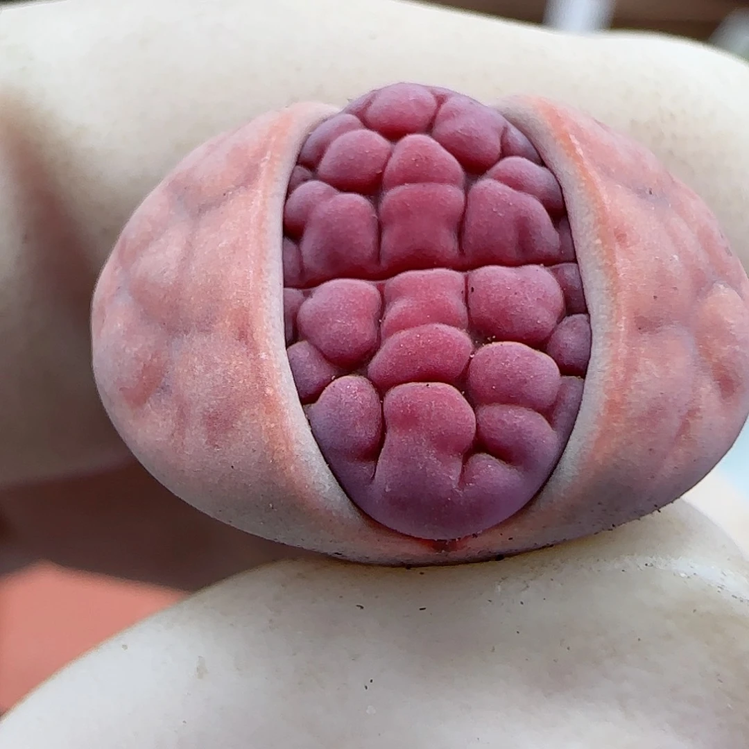 小**头027阿克玫瑰福利