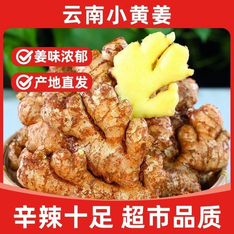 正宗云南小黄姜新鲜现挖山地种植老姜农产品调味料酱料原料