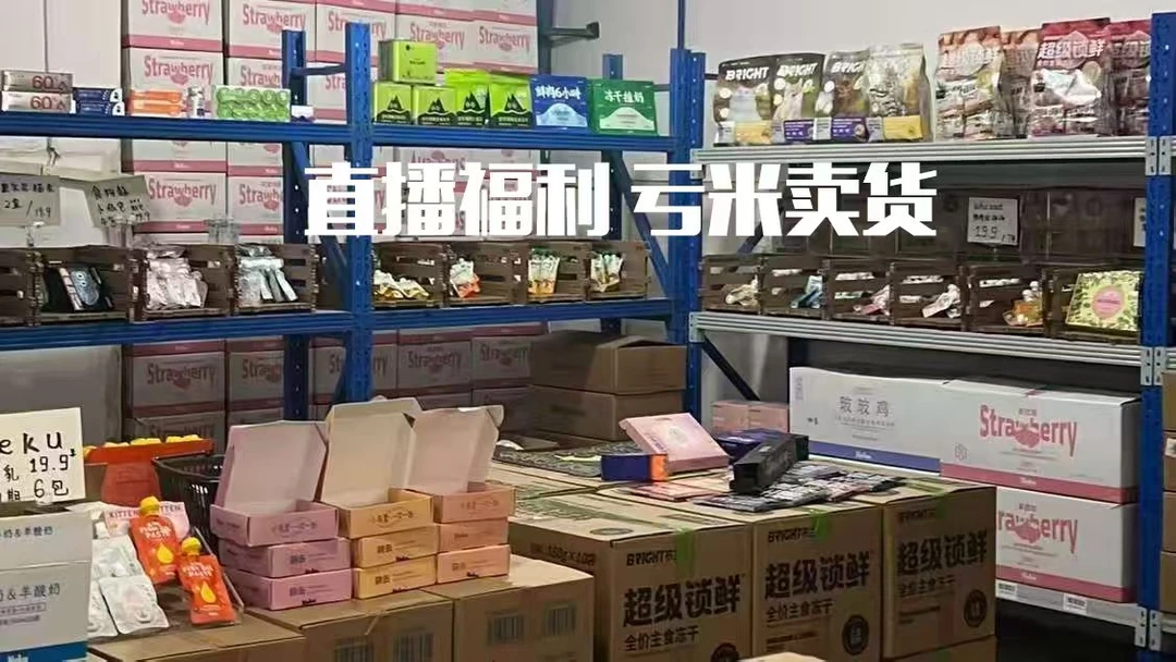 猫咪罐头冻干品牌集合