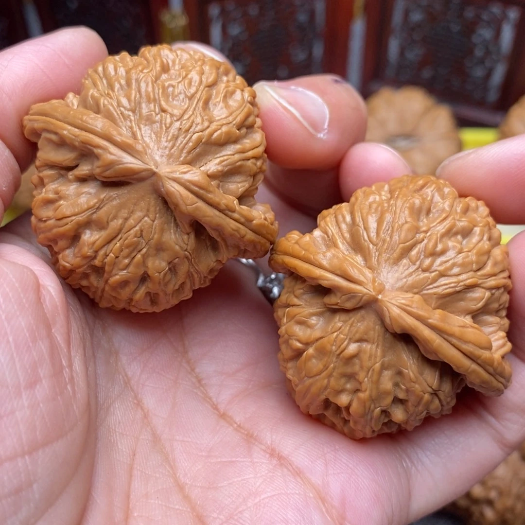 文玩核桃把件全品毕业绝配白狮子41尺