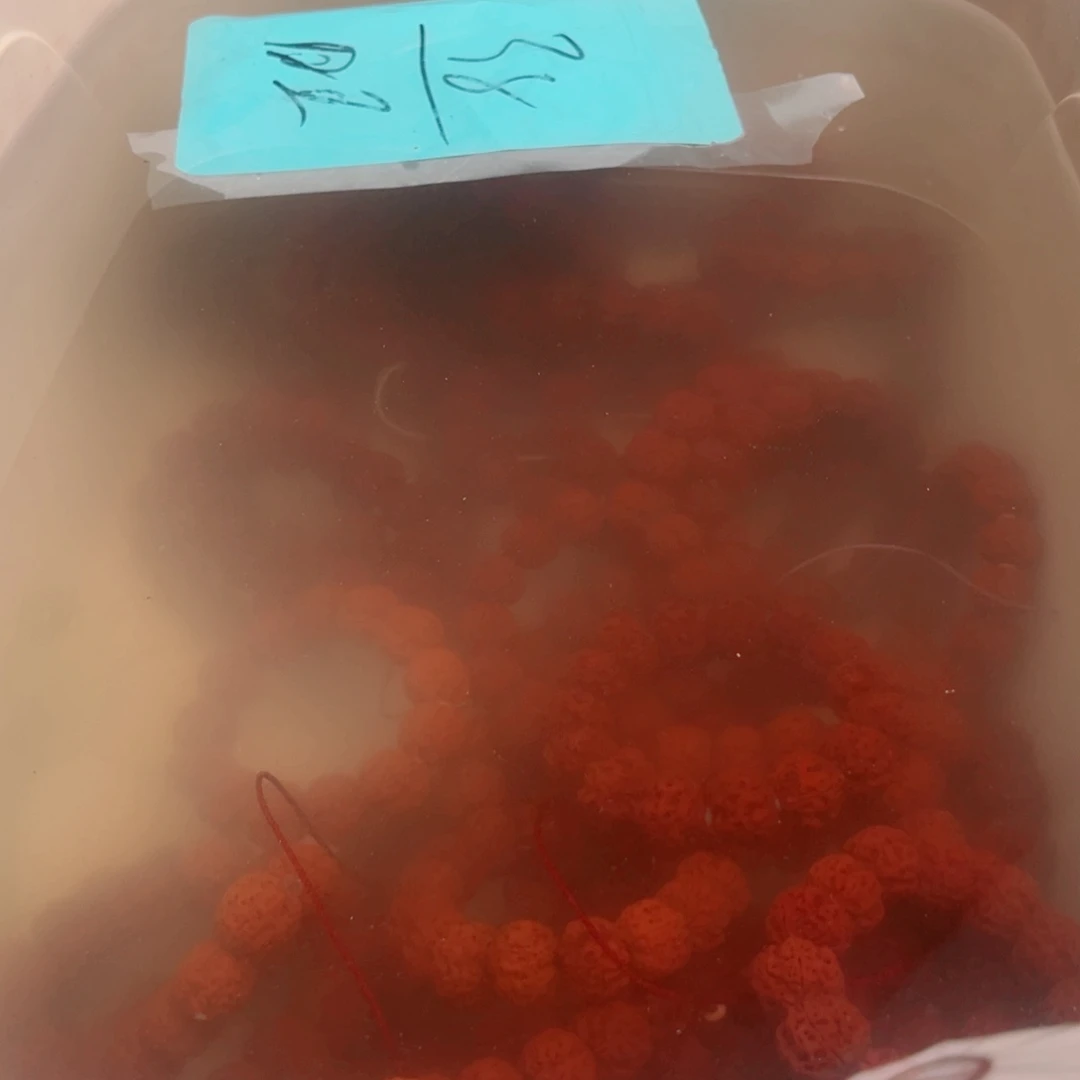金刚菩提吊坠啊啊啊啊啊啊啊啊啊啊啊啊
