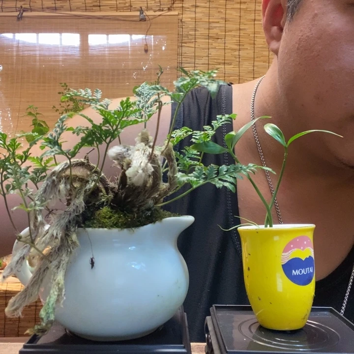 滨*一物一拍所见即所得143