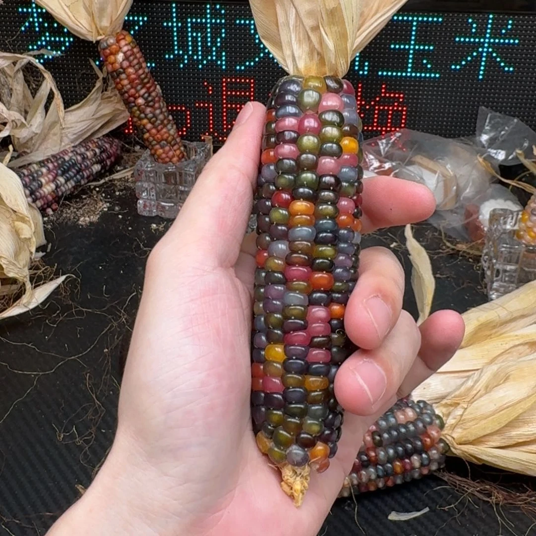 柏香籽/百香籽吊坠?****?