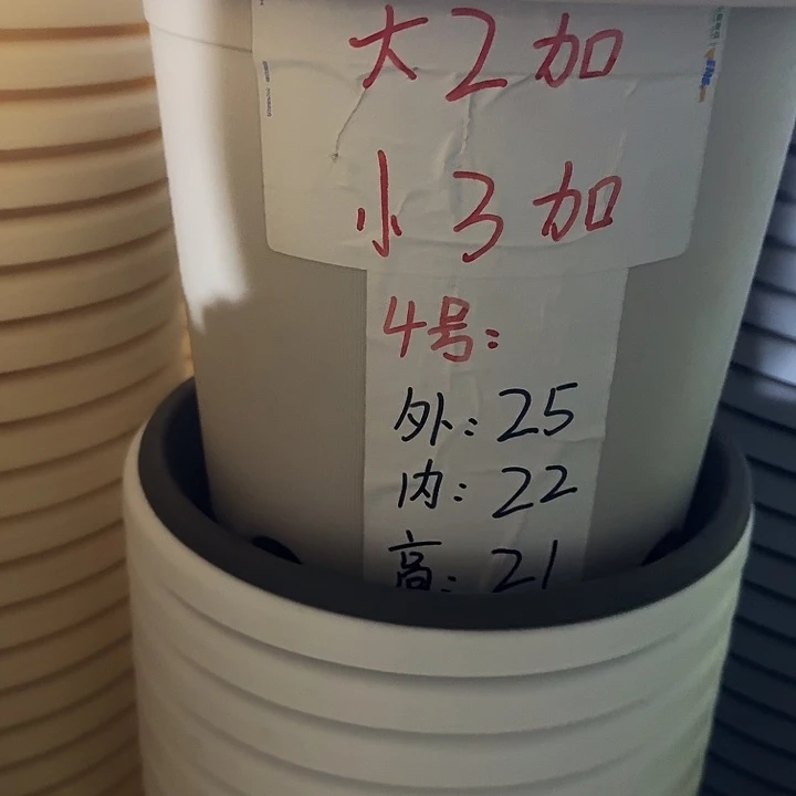 四季4号灰白无托5个