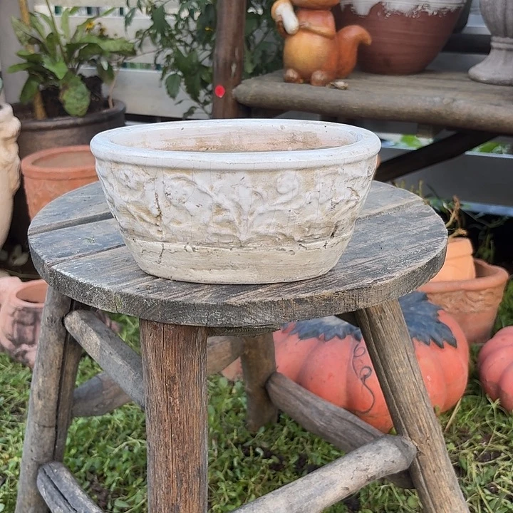 许纯的花房 孤品003