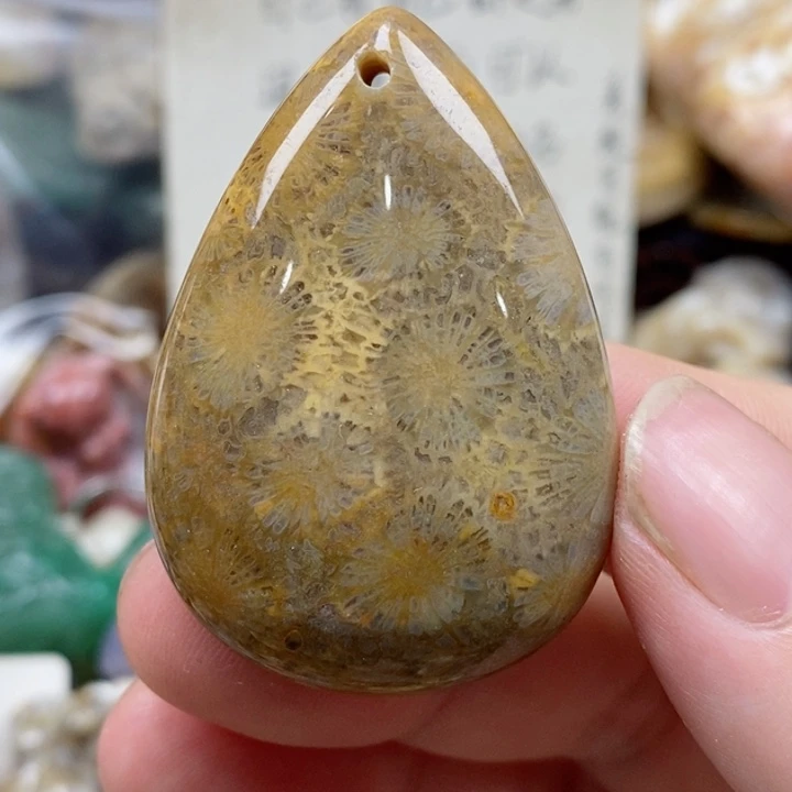 硅化珊瑚（珊瑚玉）未镶嵌颈饰