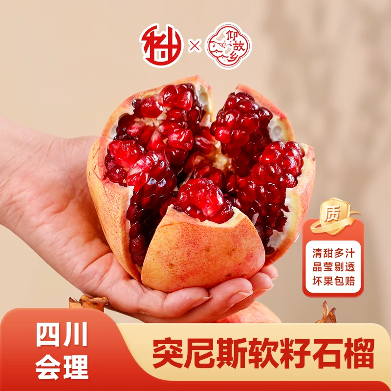 【仰故乡】四川会理突尼斯软籽石榴3/5斤当季水果新鲜采摘鲜甜多汁Q