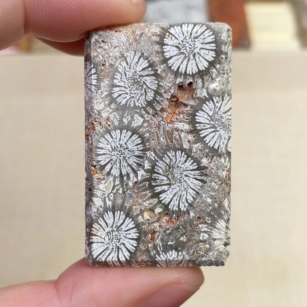 【闪购商品】硅化玉手串未镶嵌
