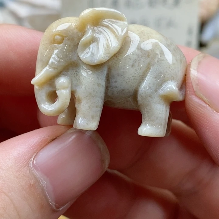 硅化珊瑚（珊瑚玉）未镶嵌颈饰