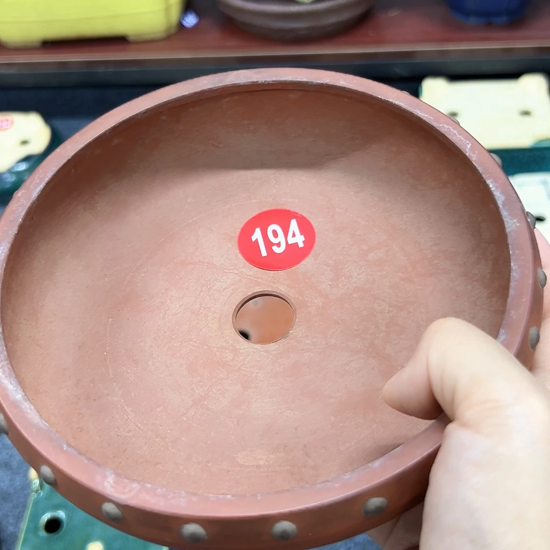 无***果对你的喜欢就如同这日子只增不减194