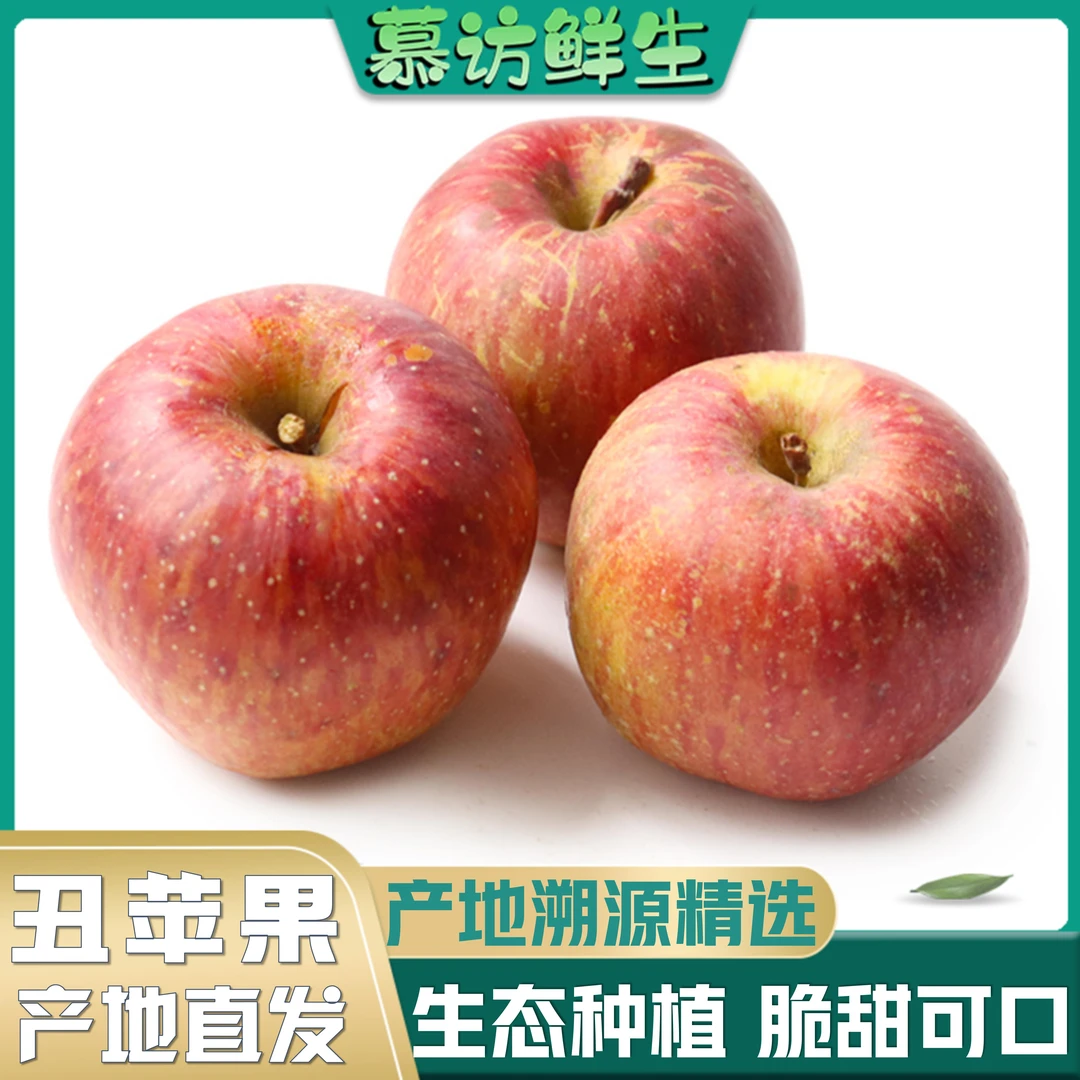 【产地直发】大凉山盐源丑苹果自然生长脆甜多汁