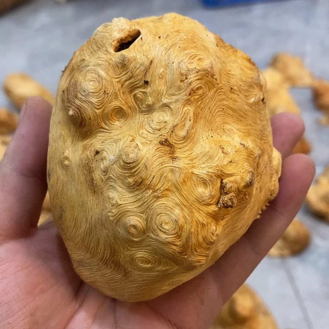 一***平荔枝木荔枝木原料