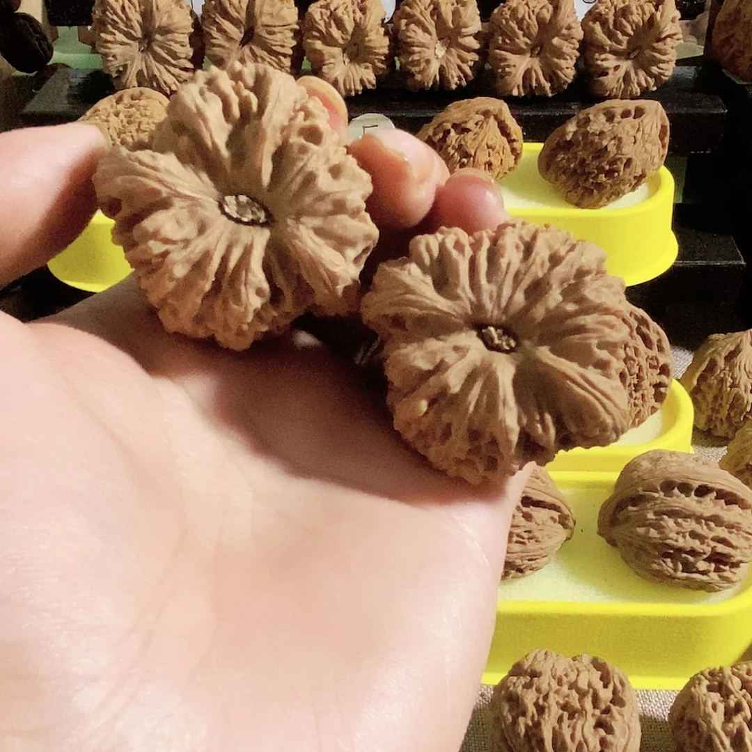木质类今天的我很