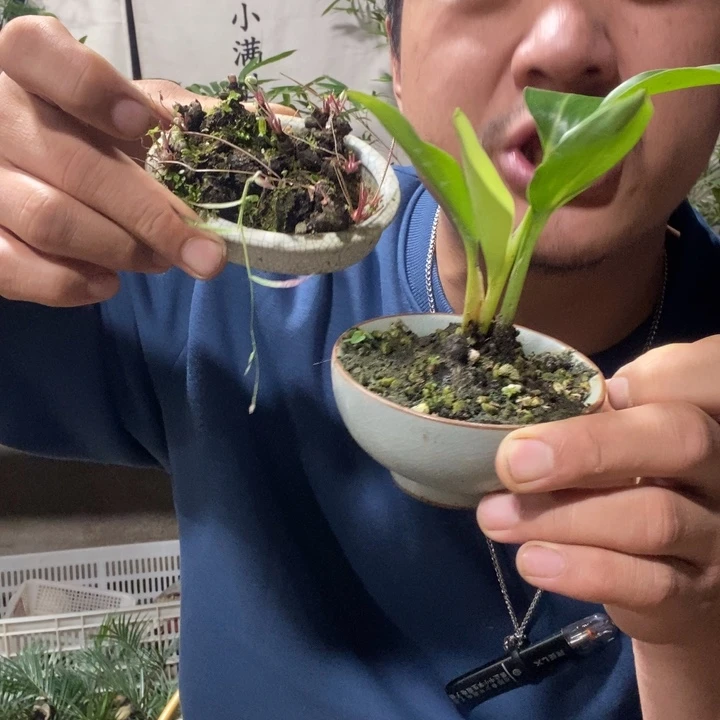 以实际为准退款拉黑拉黑65