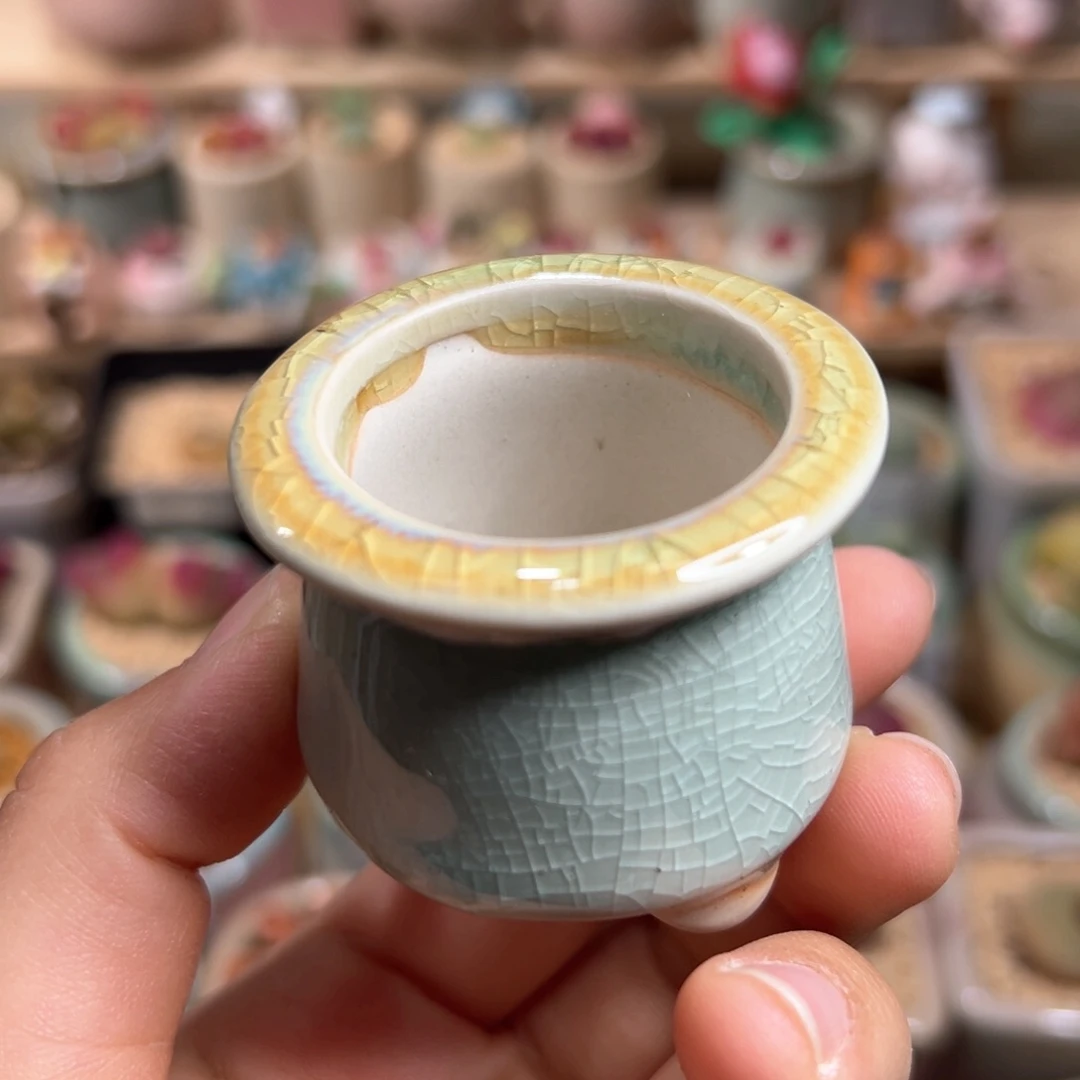 @*?多肉植物补差价