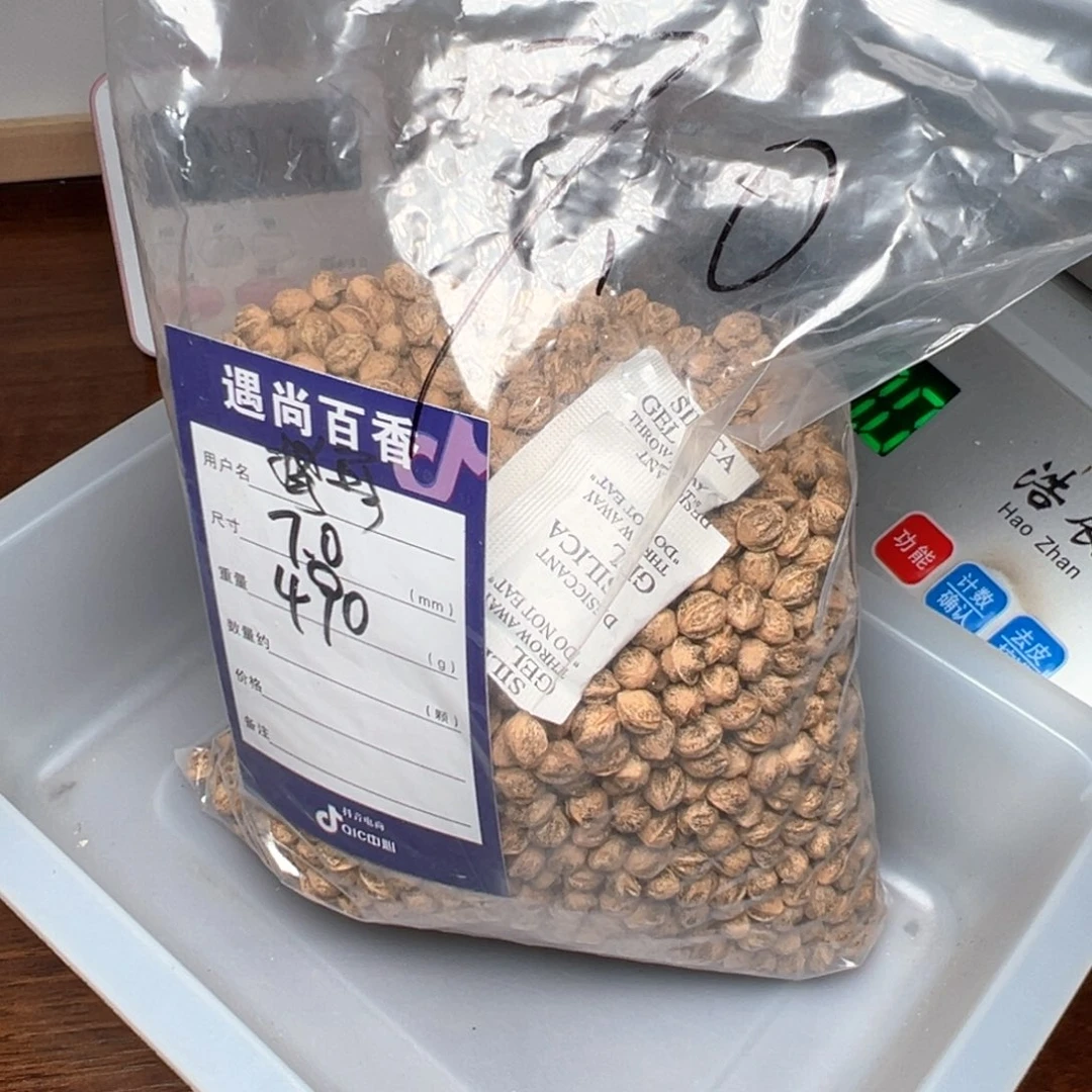 柏香籽/百香籽吊坠挚*o