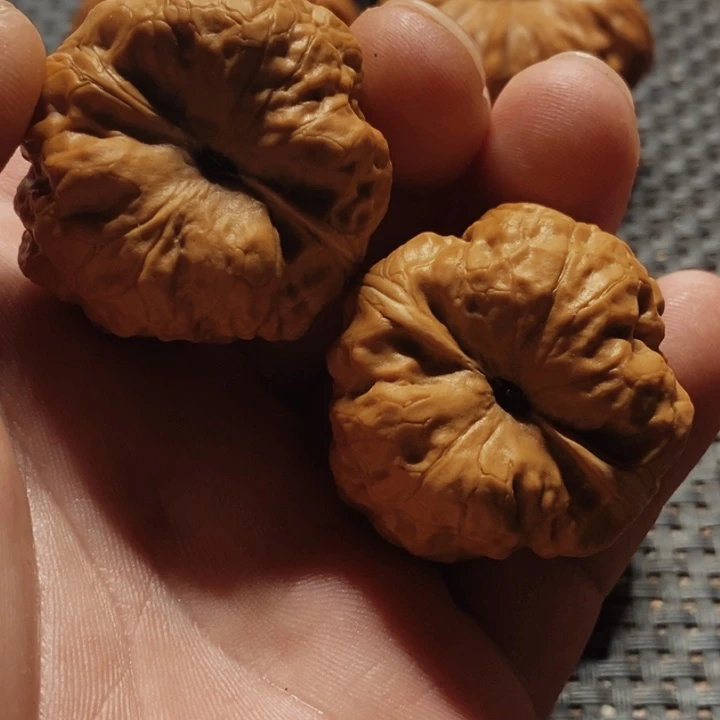 核桃手串/手链北****园文玩核桃古蝉