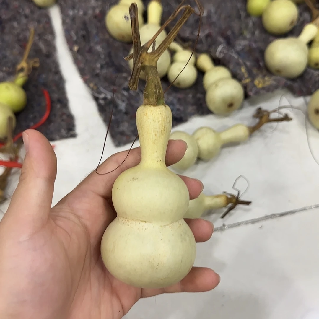 营***）葫芦jsjejsjddjnssnsnsnsns