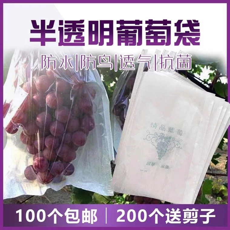 葡萄专用套袋半透明袋子莲雾保护防虫防雨透气水果包果袋葡萄套袋