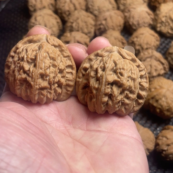 核桃全品精对白狮子