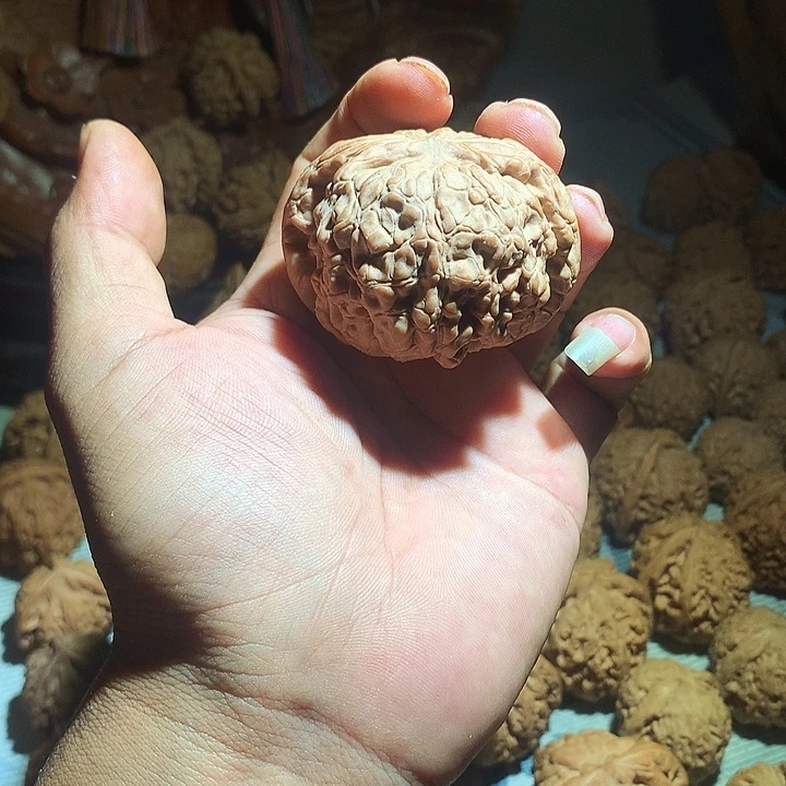 睡***整把件文玩核桃龙鼎